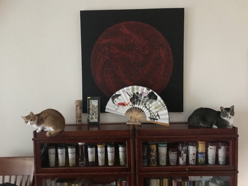 Gallery photo 6